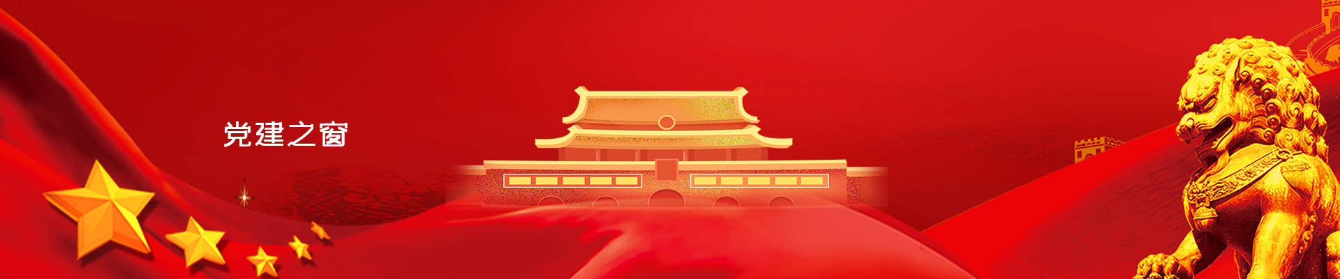 党建之窗_群团风采