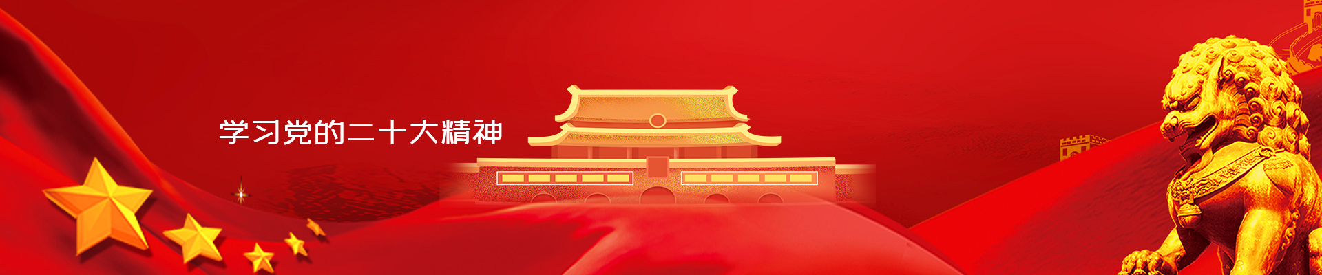 学习党的二十大精神